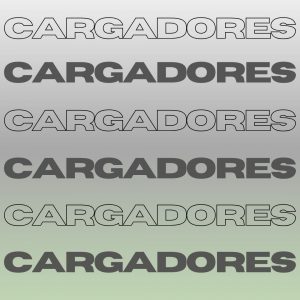 CARGADORES EVO